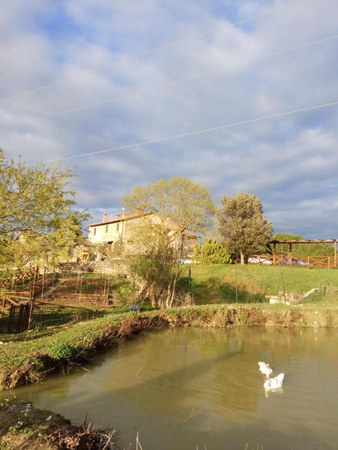 Agriturismo La Provenca Chianciano Terme Dış mekan fotoğraf