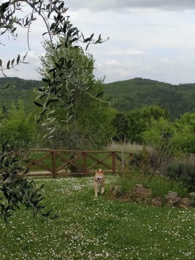 Agriturismo La Provenca Chianciano Terme Dış mekan fotoğraf
