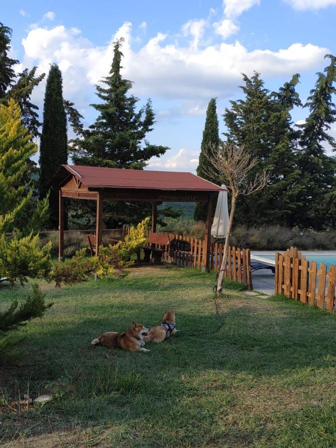 Agriturismo La Provenca Chianciano Terme Dış mekan fotoğraf