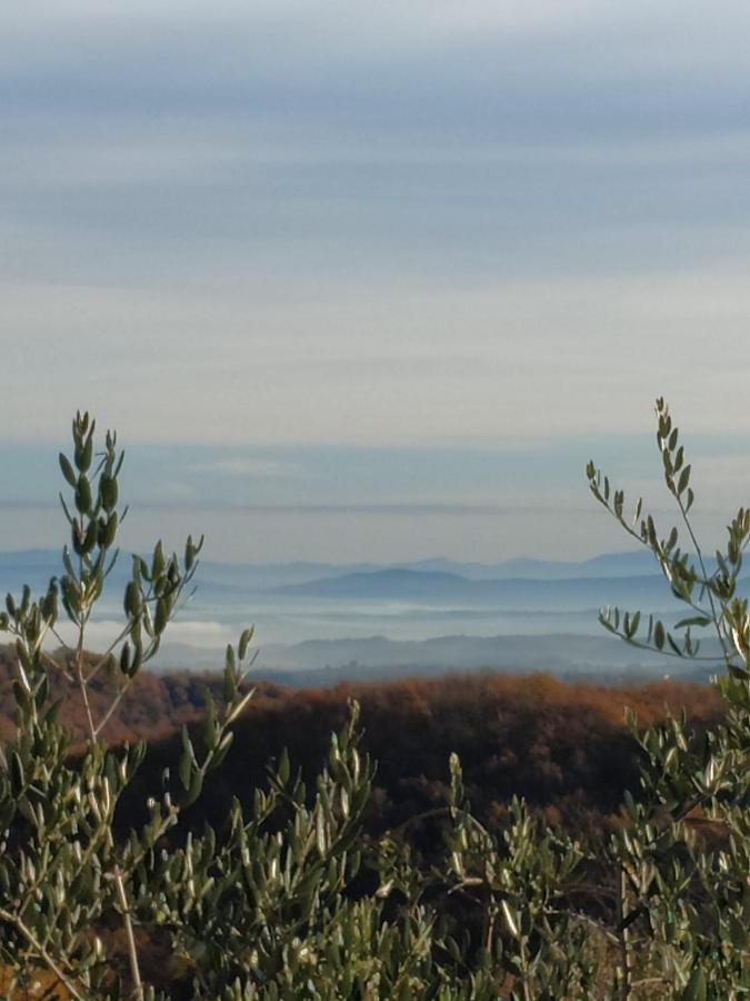 Agriturismo La Provenca Chianciano Terme Dış mekan fotoğraf