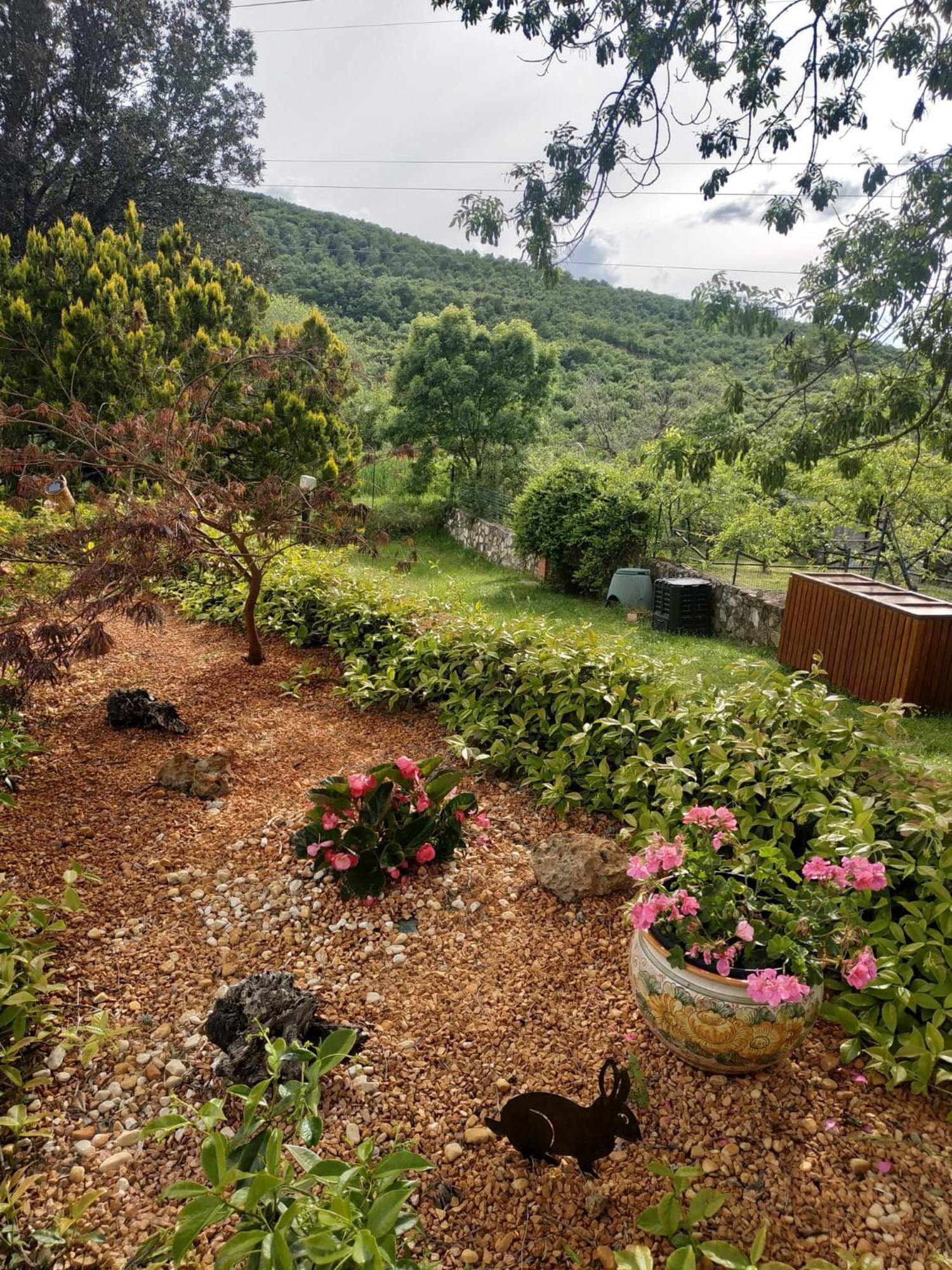 Agriturismo La Provenca Chianciano Terme Dış mekan fotoğraf