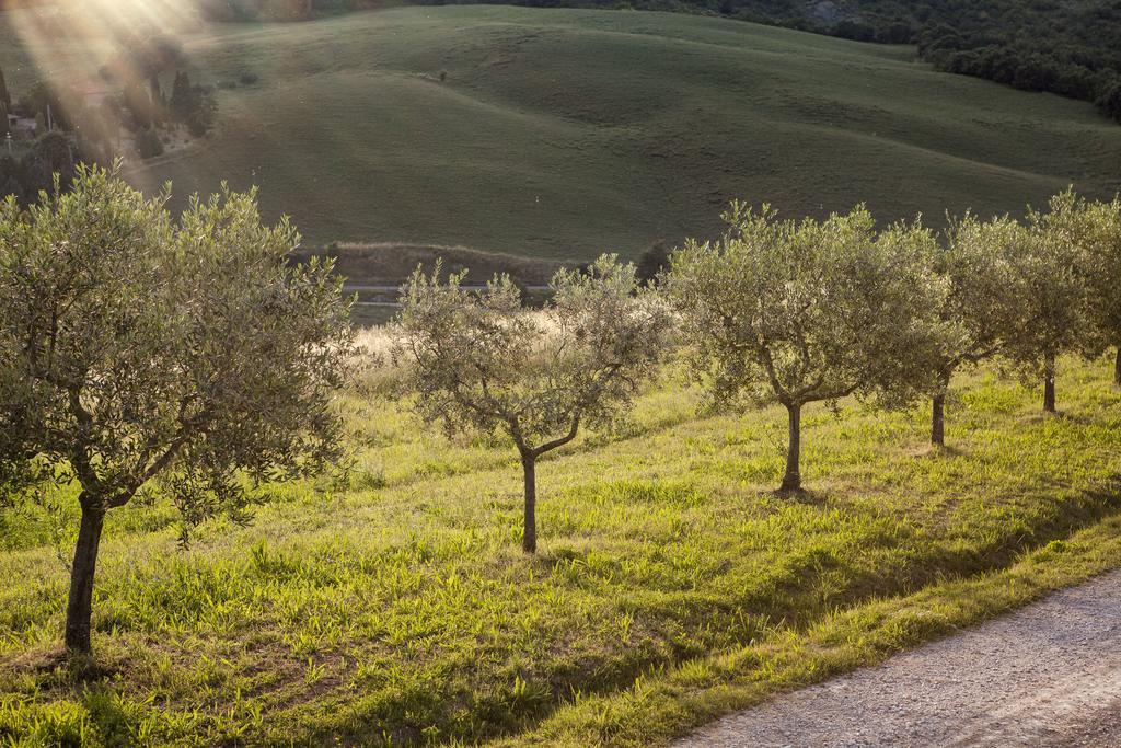 Agriturismo La Provenca Chianciano Terme Dış mekan fotoğraf
