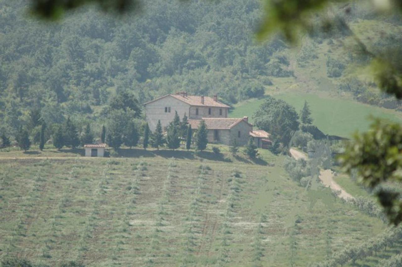 Agriturismo La Provenca Chianciano Terme Dış mekan fotoğraf